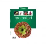 bromeliad
