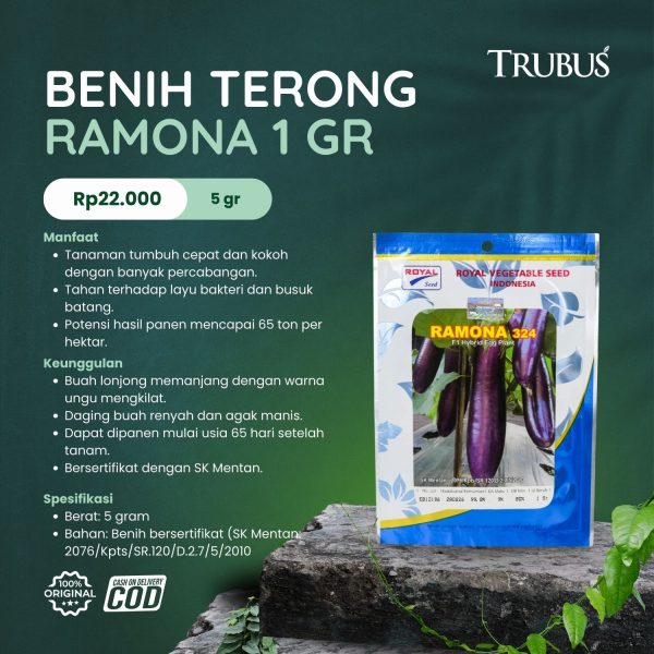 MEDIA COCOFIBER (26)