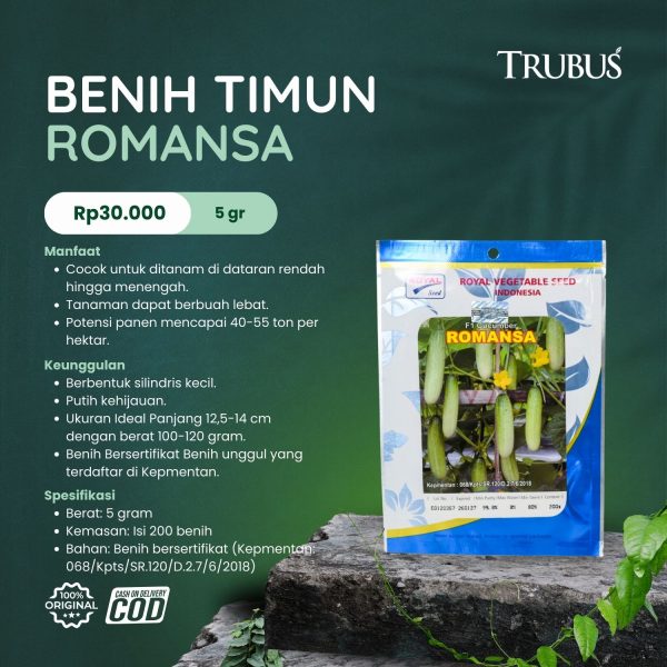 MEDIA COCOFIBER (28)