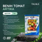 MEDIA COCOFIBER (29)