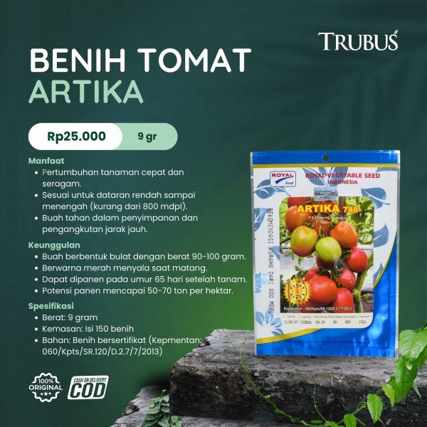 MEDIA COCOFIBER (29)