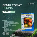 MEDIA COCOFIBER (30)