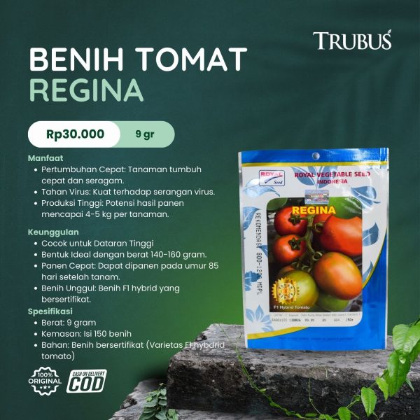 MEDIA COCOFIBER (30)