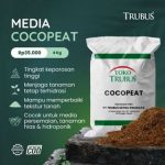 id-11134207-8224o-mj9piutlmakj98_tn