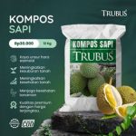 id-11134207-8224u-mipdc3ayiakk44_tn