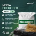 id-11134207-8224u-mj9ovjt41ekn67_tn