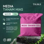 id-11134207-8224w-mipdc3aynwucc3_tn