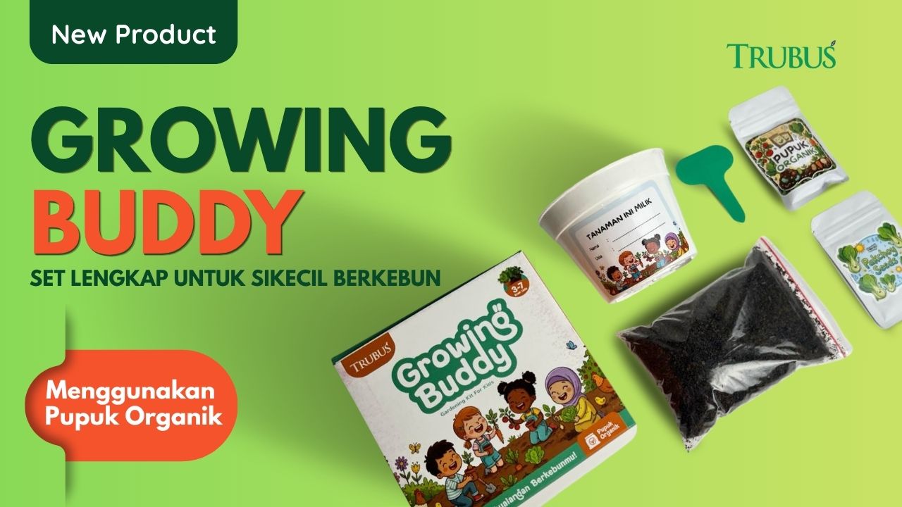 Growing Buddy Paket Bertanam Anak