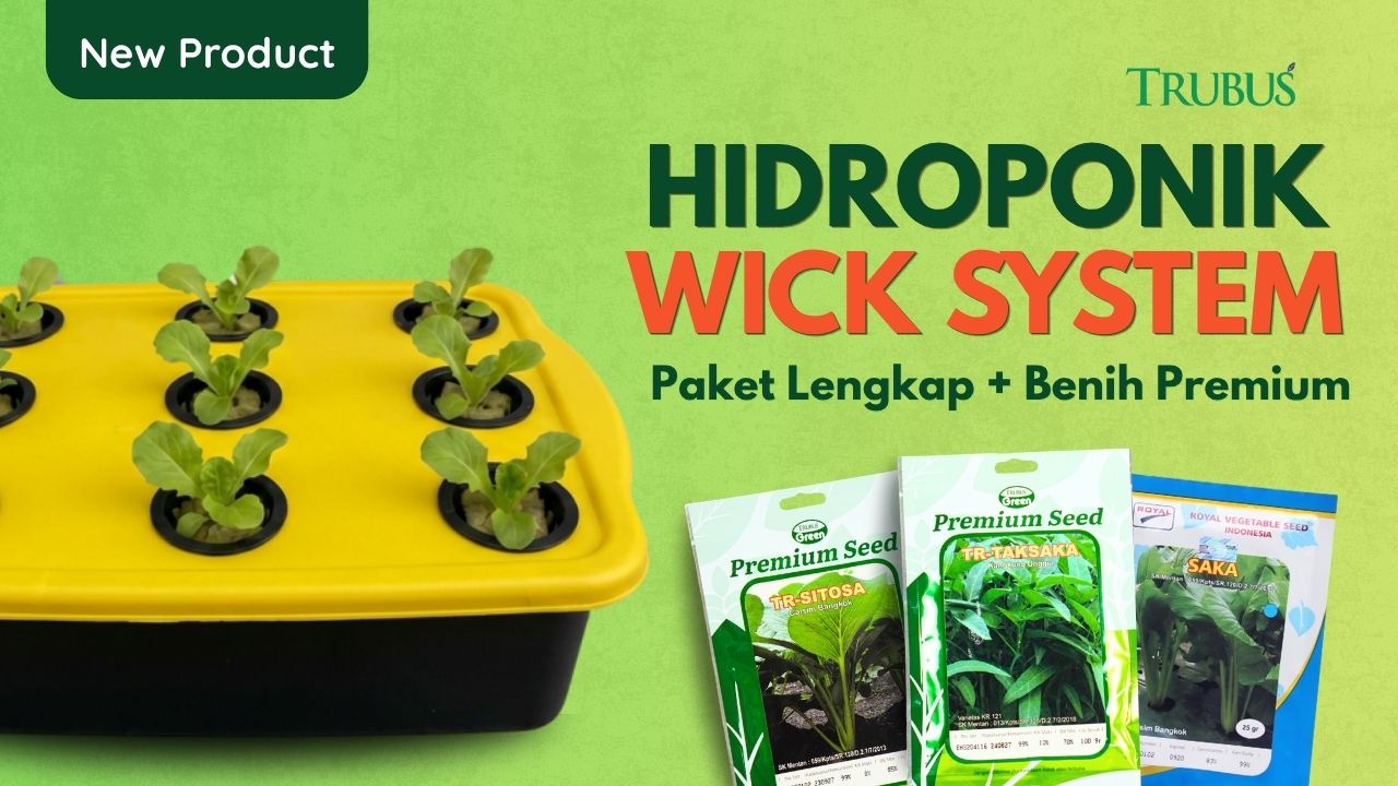 Hidroponik Wick System Trubus